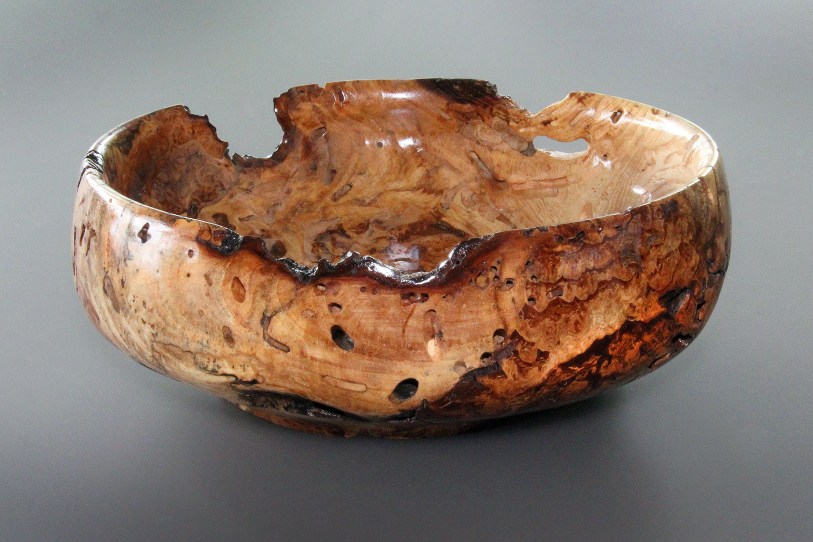 Bitternut Hickory Burl June 2015